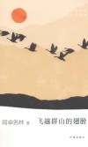 飞越群山的翅膀 封面