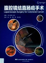 腹腔镜结直肠癌手术 封面