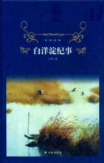 白洋淀纪事  经典译林 封面