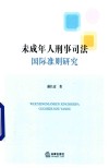 未成年人刑事司法国际准则研究 封面