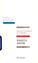 斯宾诺莎与表现问题 电子书封面