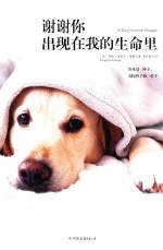 谢谢你出现在我的生命里 电子书封面