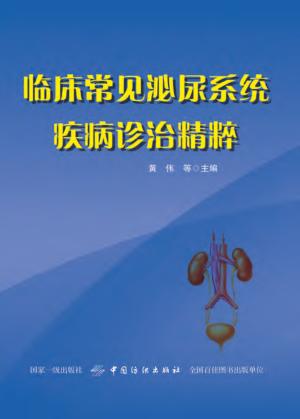 临床常见泌尿系统疾病诊治精粹 封面