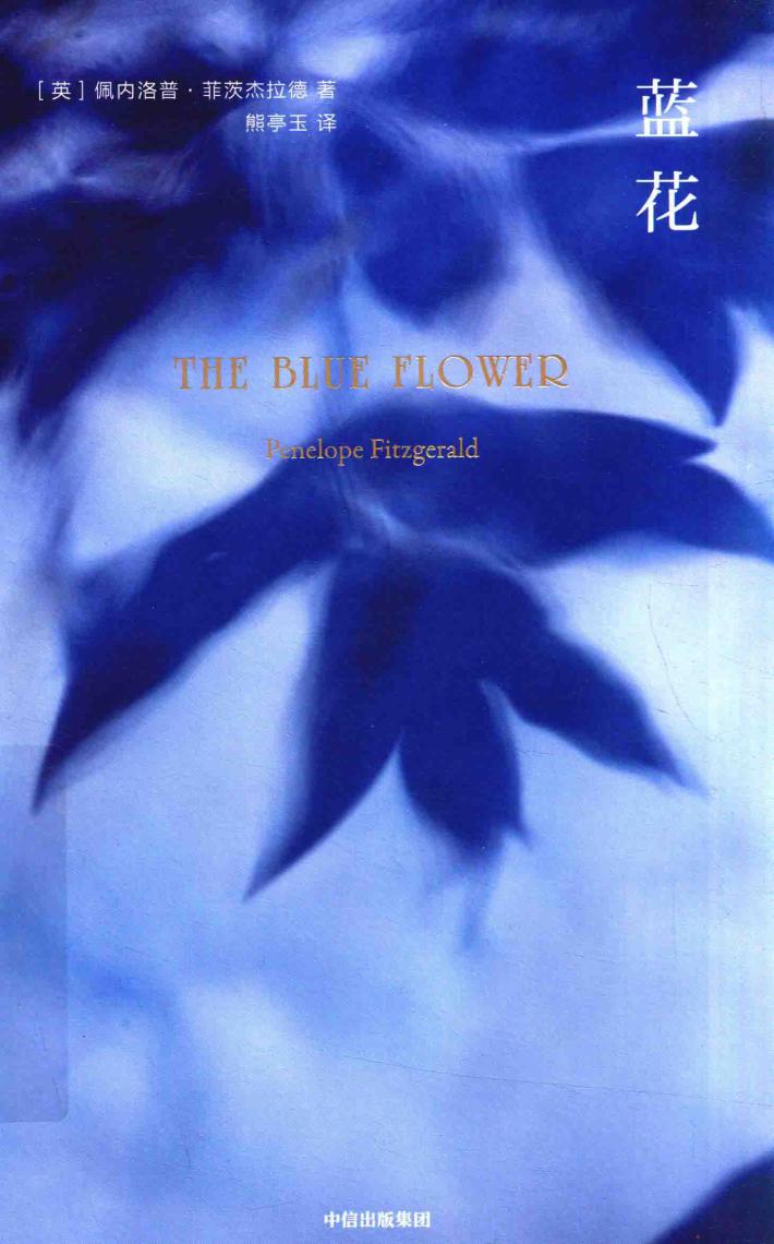 蓝花 封面