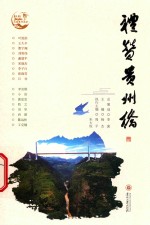 礼赞贵州桥 封面