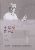 李毓佩数学科普文集  小诸葛智斗计 封面