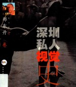 深圳私人视觉史  郑东升卷 电子书封面