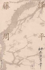 藤泽周平作品系列  秘太刀马骨 封面