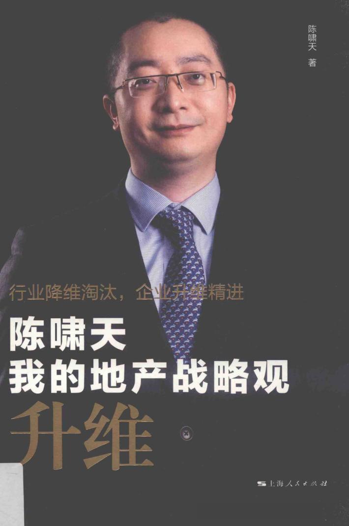 陈啸天  我的地产战略观 封面