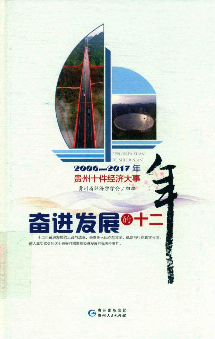 奋进发展的十二年 封面