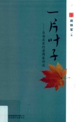 一片叶子 封面