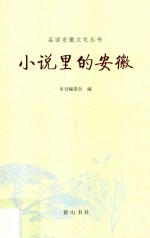 品读安徽  小说里的安徽 封面