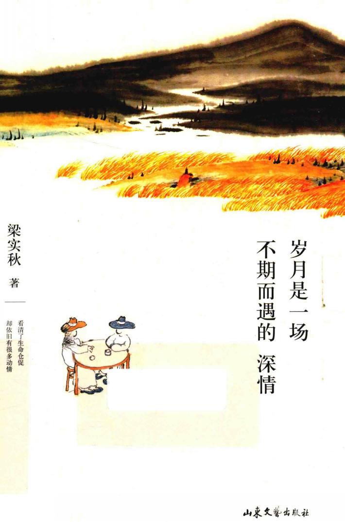 岁月是一场不期而遇的深情 封面