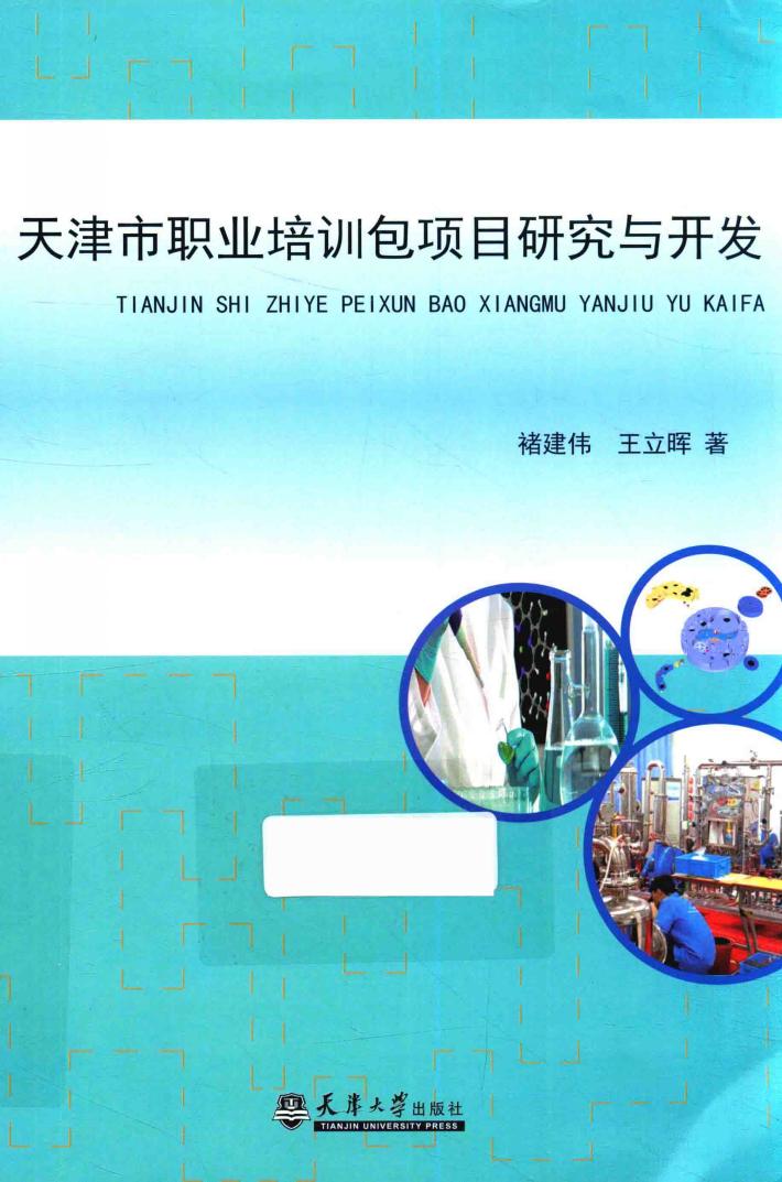 天津市职业培训包项目研究与开发 封面