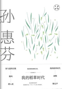 我的稻草时代 封面