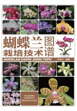 蝴蝶兰栽培技术图谱 封面