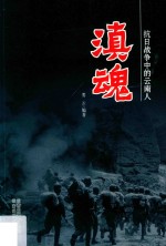 滇魂  抗日战争中的云南人 封面