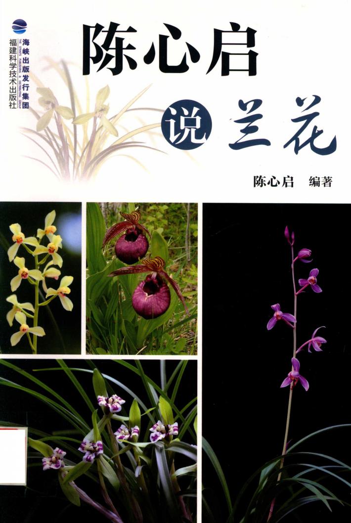 陈心启说兰花 封面