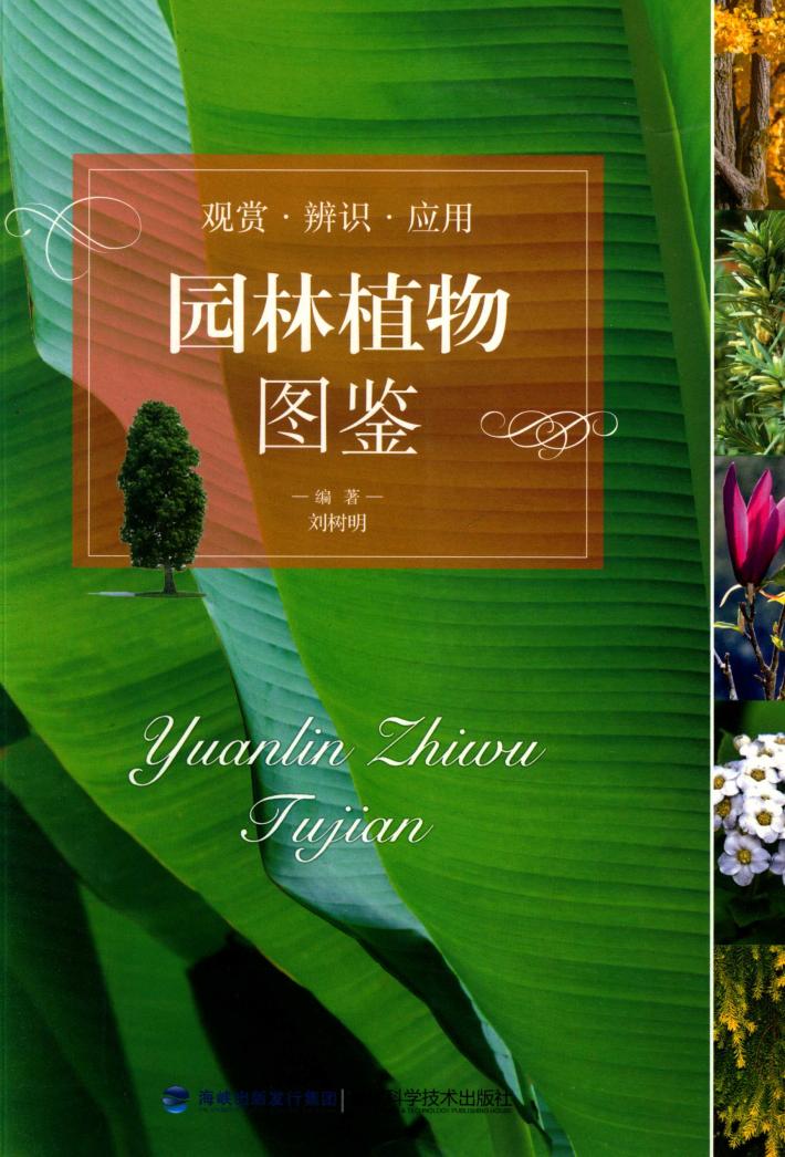 园林植物图鉴 封面
