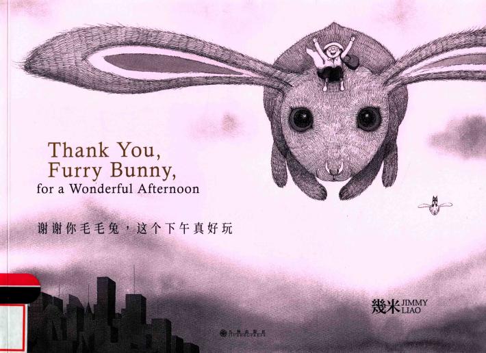 谢谢你毛毛兔，这个下午真好玩 封面