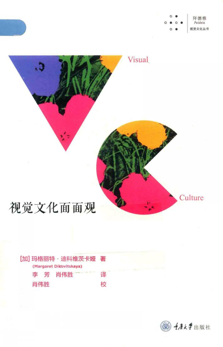 视觉文化面面观 封面