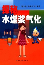 探秘水煤浆气化 封面