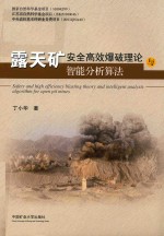 露天矿安全高效爆破理论与智能分析算法 封面