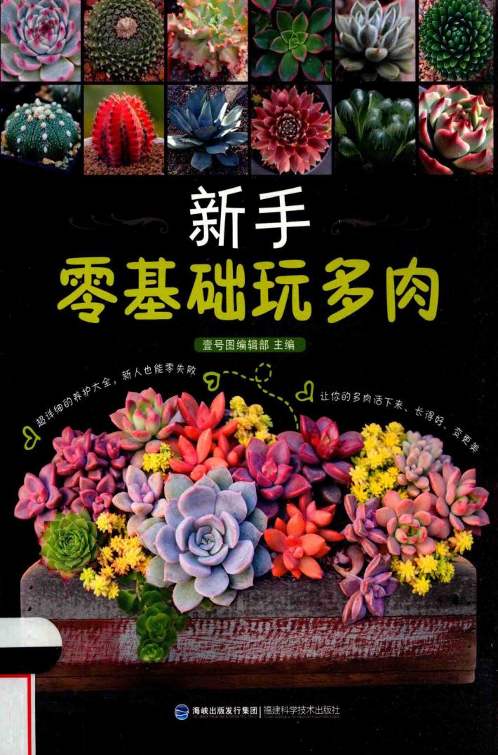 新手零基础玩多肉 封面