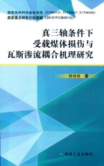 真三轴条件下受载煤体损伤与瓦斯渗流耦合机理研究 封面