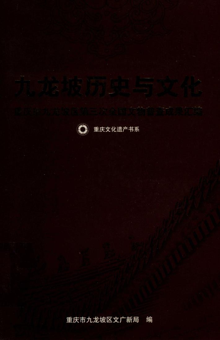 九龙坡历史与文化  重庆市九龙坡区第三次全国文物普查成果汇编  重庆文化遗产书系 封面
