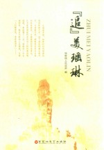 “追”美瑶琳 封面