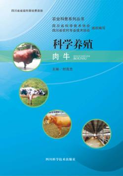 科学养殖肉牛 封面