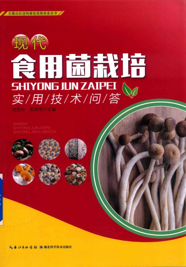 现代食用菌栽培实用技术问答 封面