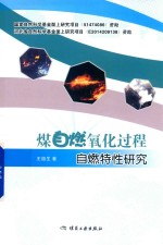 煤自燃氧化过程自燃特性研究 封面