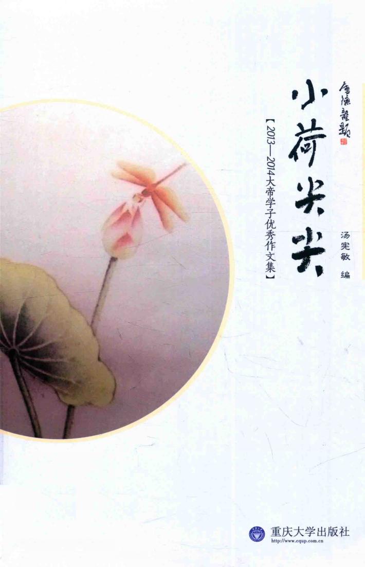 小荷尖尖  2013-2014大帝学子优秀作文集 封面