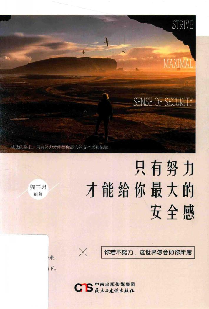 只有努力才能给你最大的安全感 封面