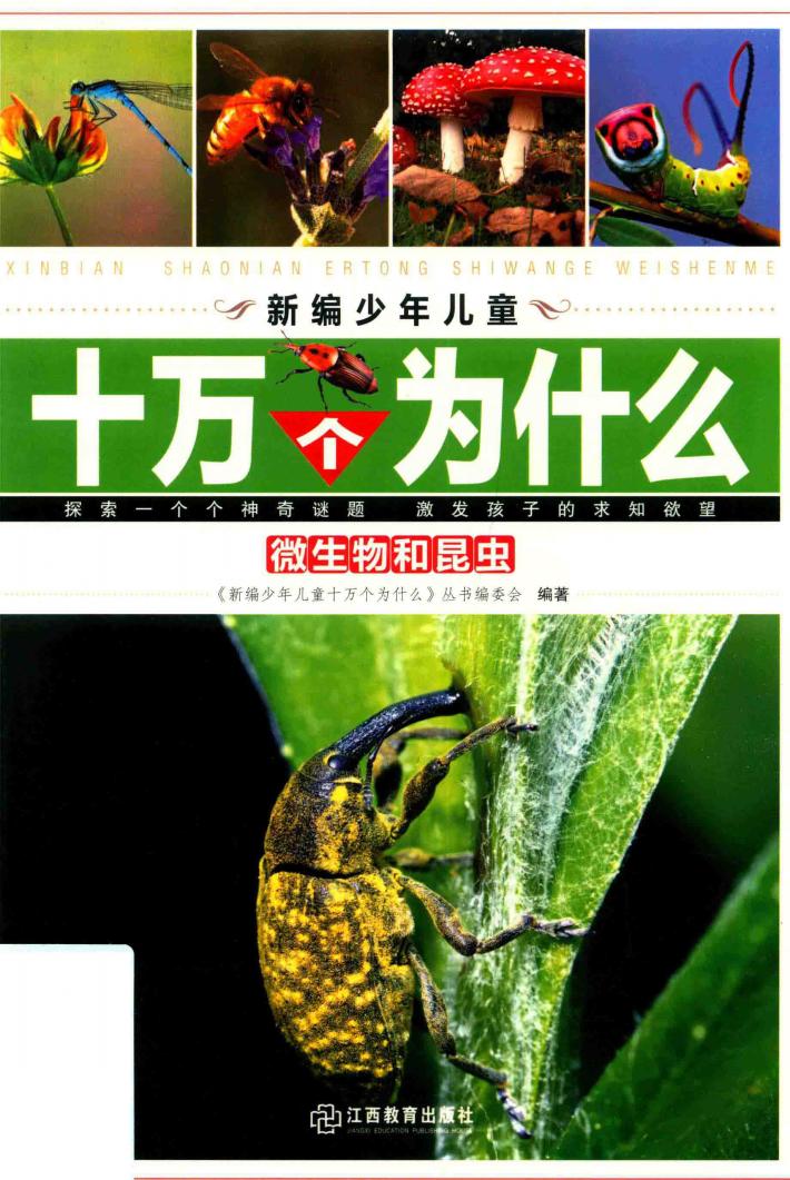 微生物和昆虫 封面