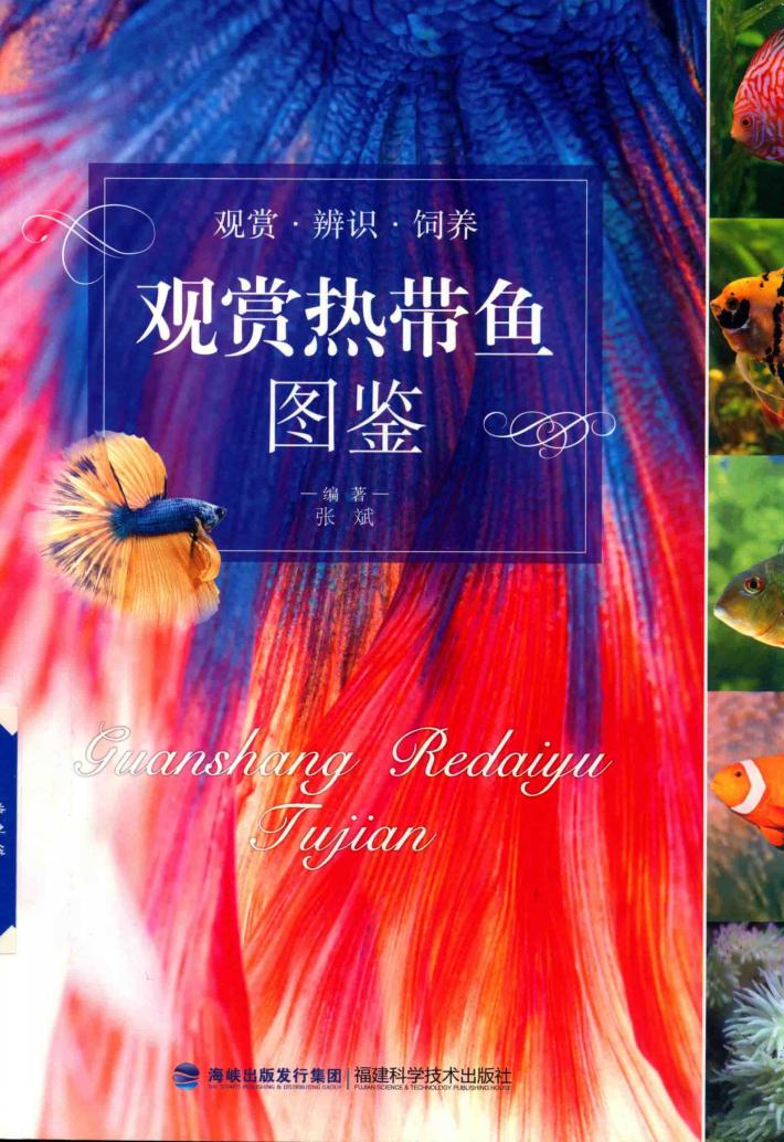 观赏热带鱼图鉴 封面