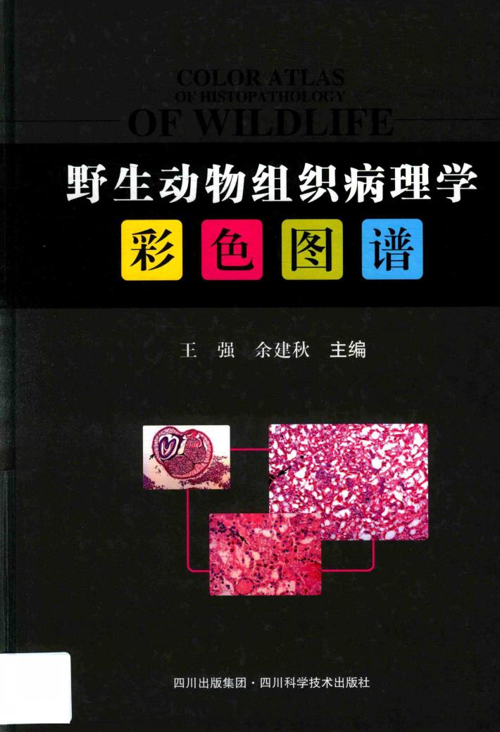 野生动物组织病理学彩色图谱 封面