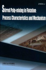 浮选搅拌调浆过程特征与机理  英文版 封面