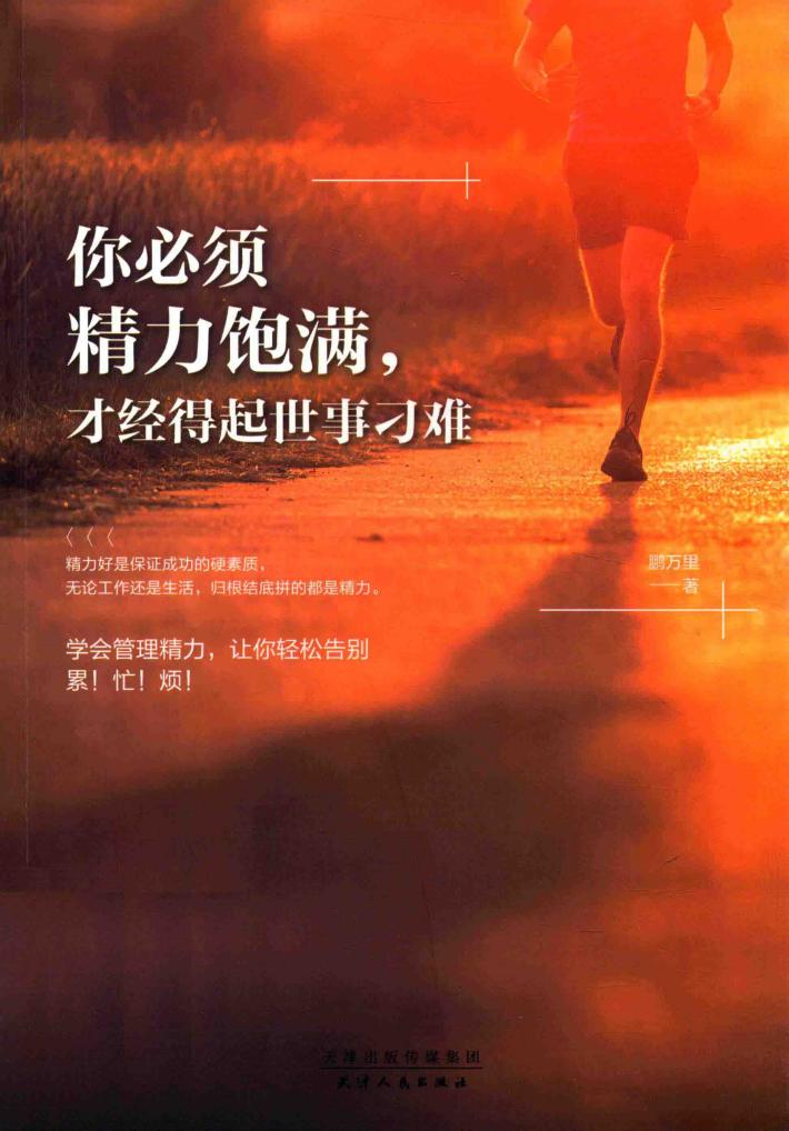 你必须精力饱满，才经得起世事刁难 封面