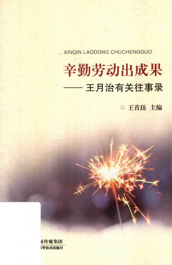 辛勤劳动出成果  王月治有关往事录 封面