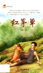 红茅草 封面