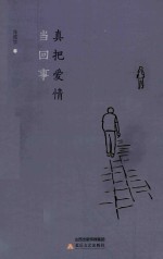 真把爱情当回事 封面