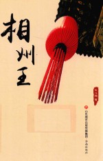 相州王 电子书封面