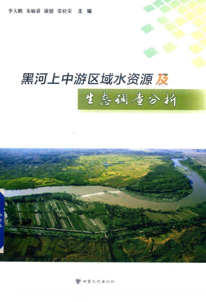 黑河上中游区域水资源及生态调查分析 封面