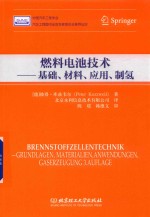 燃料电池技术 基础、材料、应用、制氢 封面