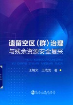 遗留空区(群)治理与残余资源安全复采 封面