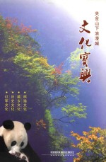 夹金山下浪漫城  文化宝兴 封面