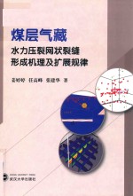 煤层气藏水力压裂网状裂缝形成机理及扩展规律 封面